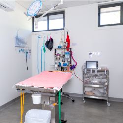 Surgical Theatre